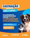 Campanha Castração de Cães e Gatos