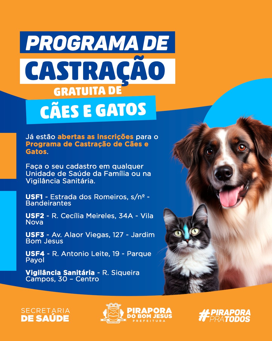 Campanha de Castração de cães e gatos