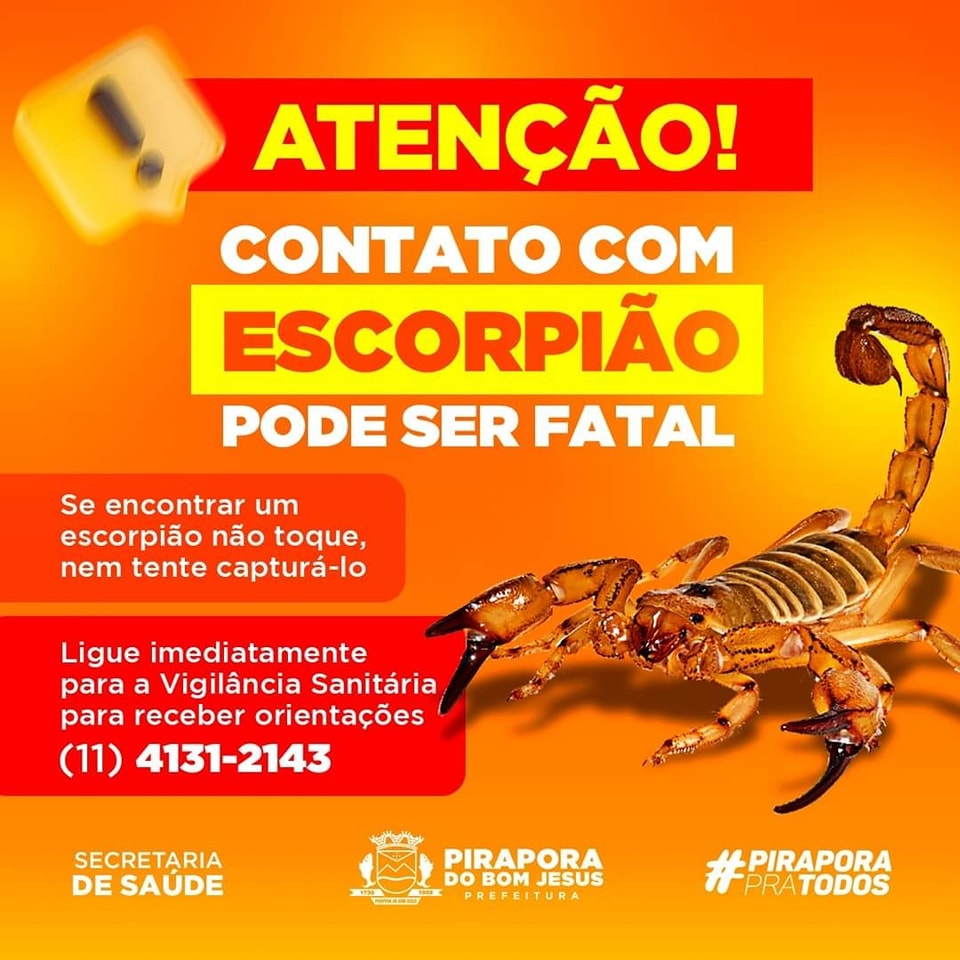 Contato com escorpião pode ser fatal!