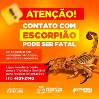 Contato com escorpião pode ser fatal!