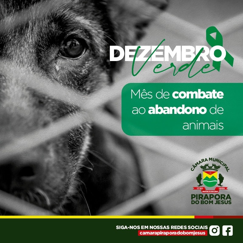 Dezembro Verde!