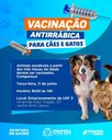 Na próxima terça-feira, 11 de junho, teremos mais uma etapa da vacinação antirrábica em Pirapora. 