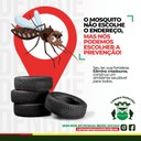 O mosquito não escolhe o endereço, mas nós podemos escolher a prevenção!